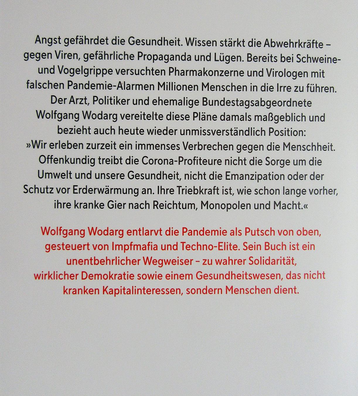 Libri: Falsche Pandemien - Argumente gegen die Herrschaft der Angst – Usato da Auenstein venduto da Padabimbim 1