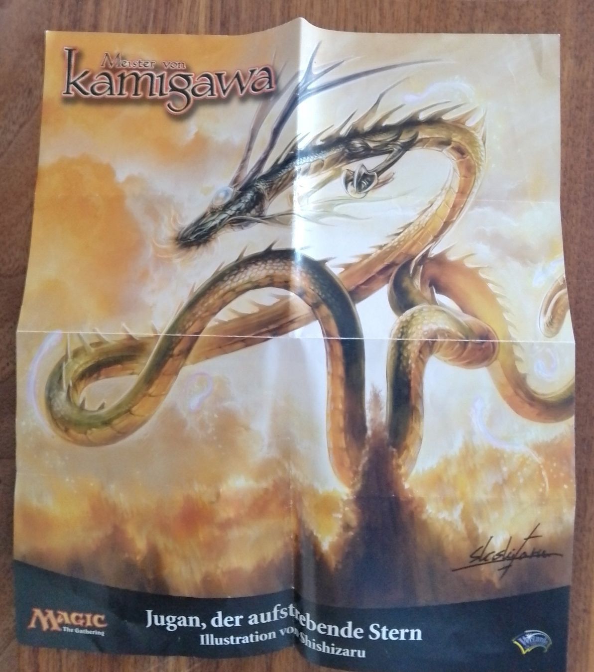 Magic The Gathering Sammelbilder & Trading cards: Magic the Gathering Werbeblatt gefaltet 19 x 21,5 cm – Gebraucht aus Wohlen AG von salamanderspielwaren