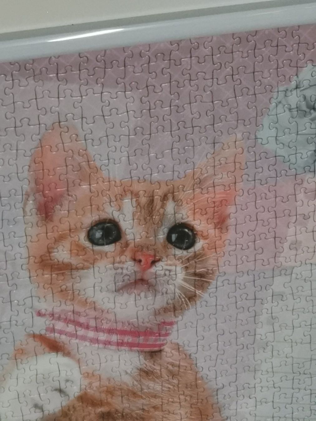 Ravensburger Puzzle: Puzzle Gute Laune Katze gerahmt – Usato da Herzogenbuchsee venduto da knisteri