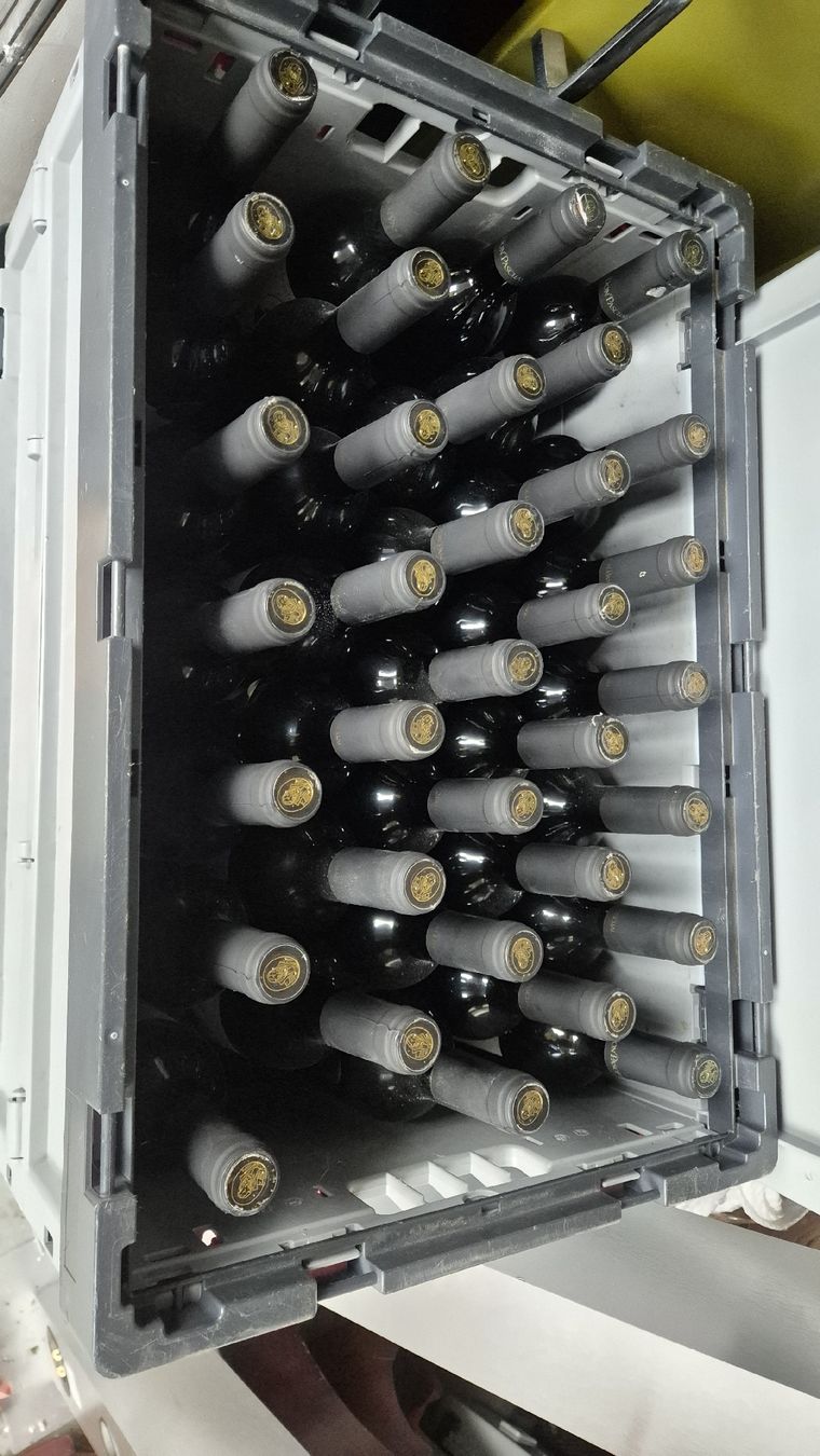 Vino: Rote Wein Don Pascuale ca100 Flache – Usato da Rämismühle venduto da beni0010 5