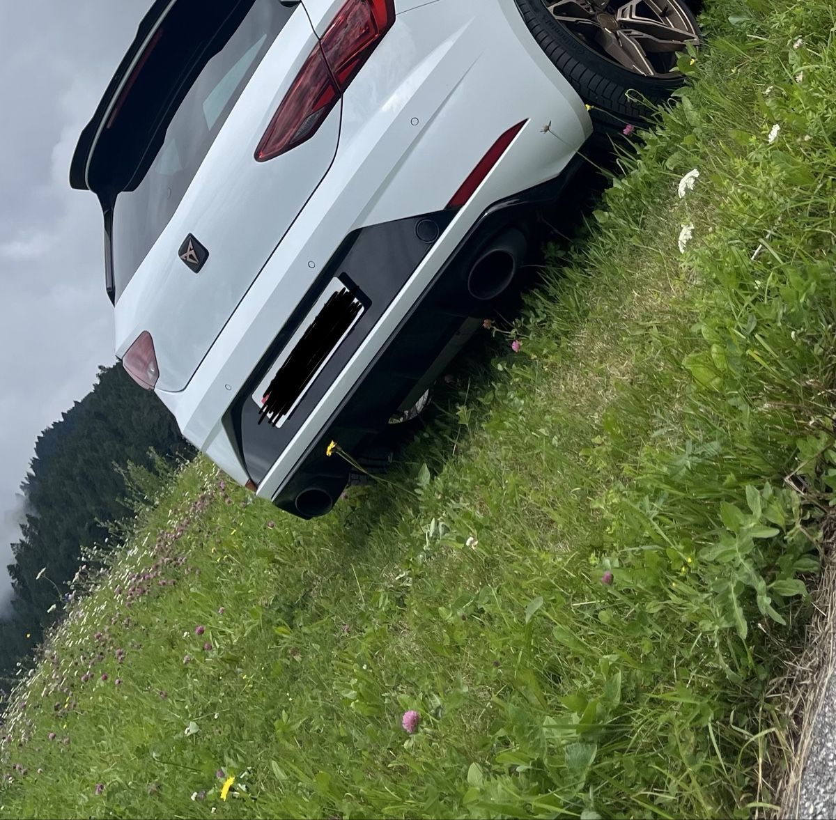 Cupra Tutti pezzi di ricambio auto: Heckdiffusor  – Usato da Mols venduto da jul_z77m 1