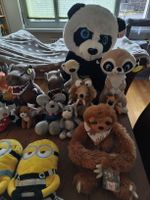 Stofftiersammlung zu verkaufen