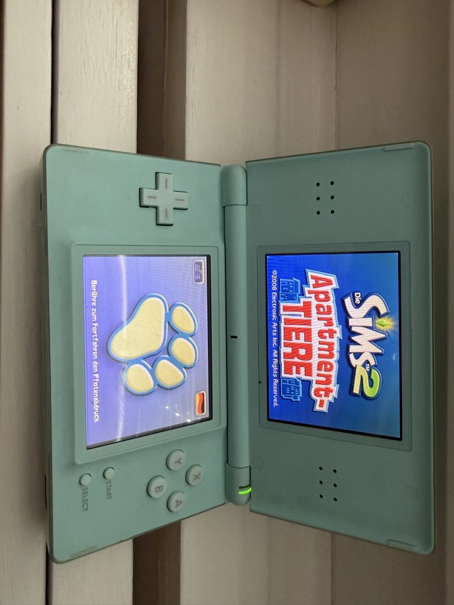 Nintendo Konsolen: Nintendo DS Lite mintgrün – Gebraucht aus Visp von amwegsvenja 1