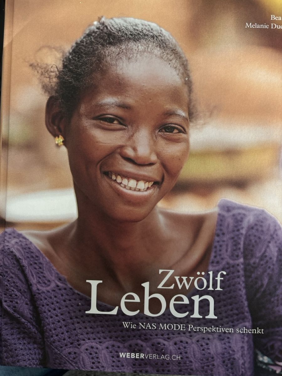 Libri: Zwölf Leben Bea Petri – Nuovo (secondo la descrizione) da Schaffhausen venduto da Reporter