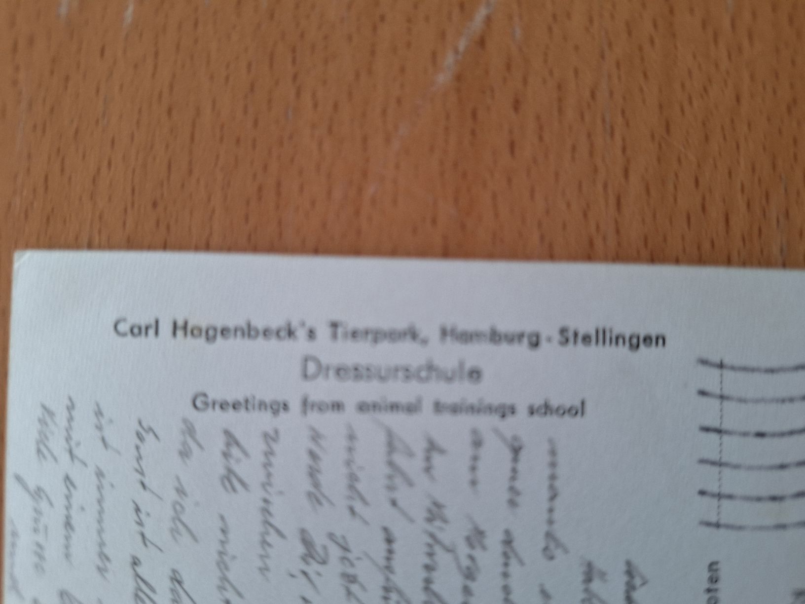 Cartoline postali: Ansichtskarte Hagenbecks Tierpark 1957 – Usato da zumikon venduto da lotegrandote 1