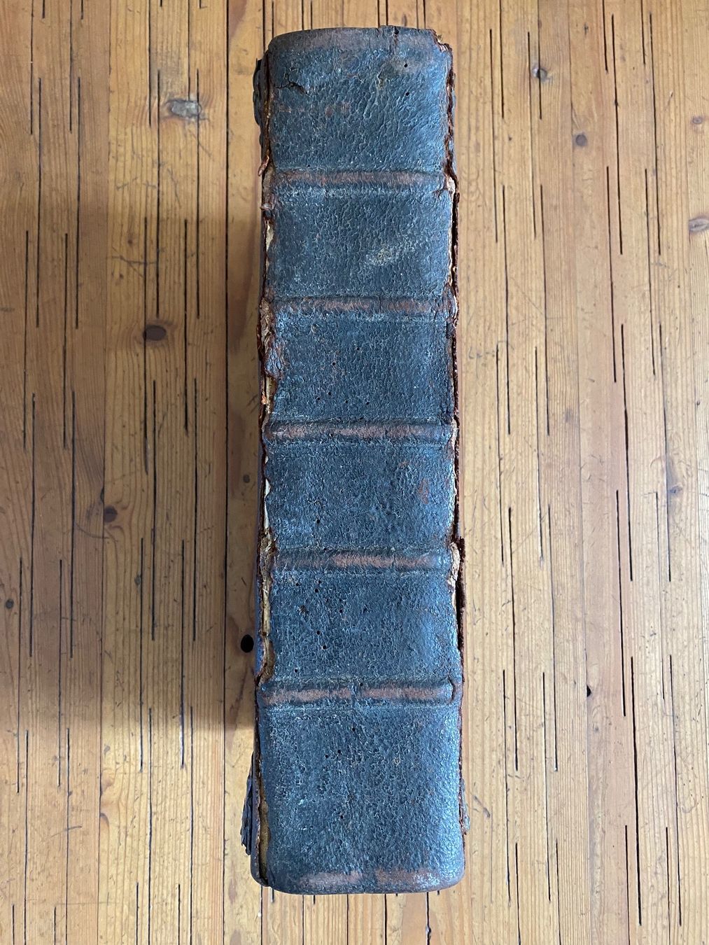 Libri: Luther Bibel, 1772 – Usato da Basel venduto da Architrave1 7