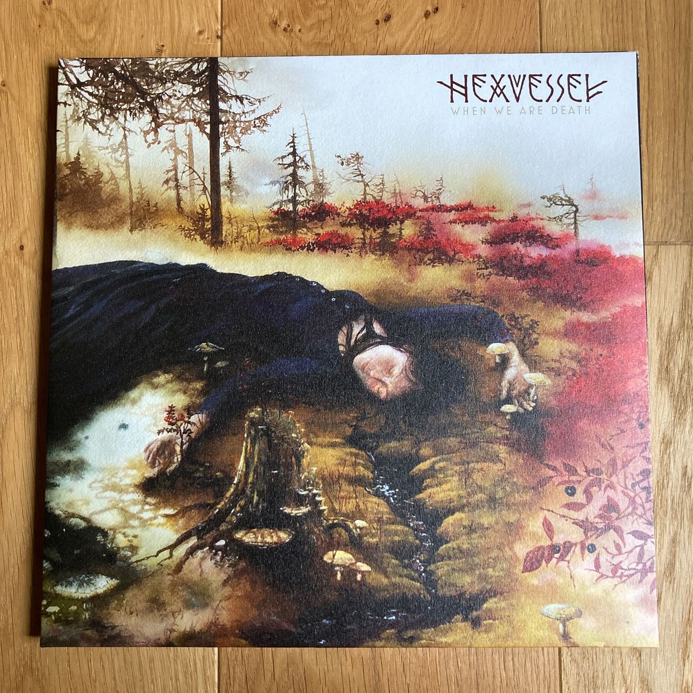 Schallplatten: Hexvessel - When We Are Death  / FOC mit CD! – Gebraucht aus Altdorf UR von