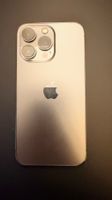 Apple iPhone 13 Pro 256GB mit QuadLock Hülle