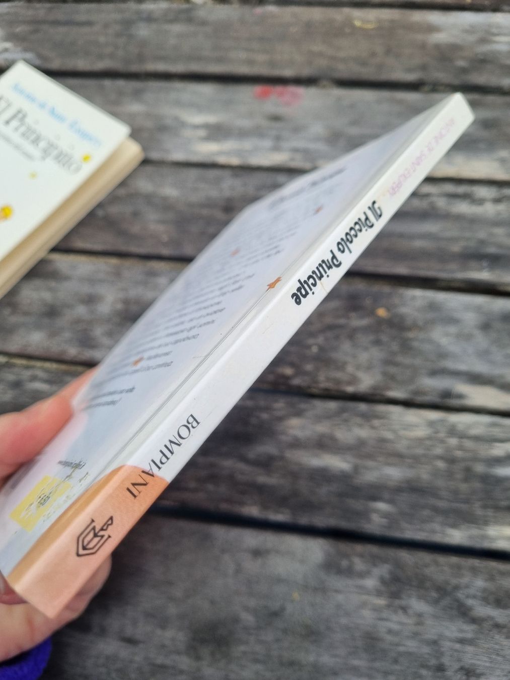 Libri: Il Piccolo Principe, Antoine de Saint-Exupé – Usato da Fribourg venduto da sal_5ln6 2
