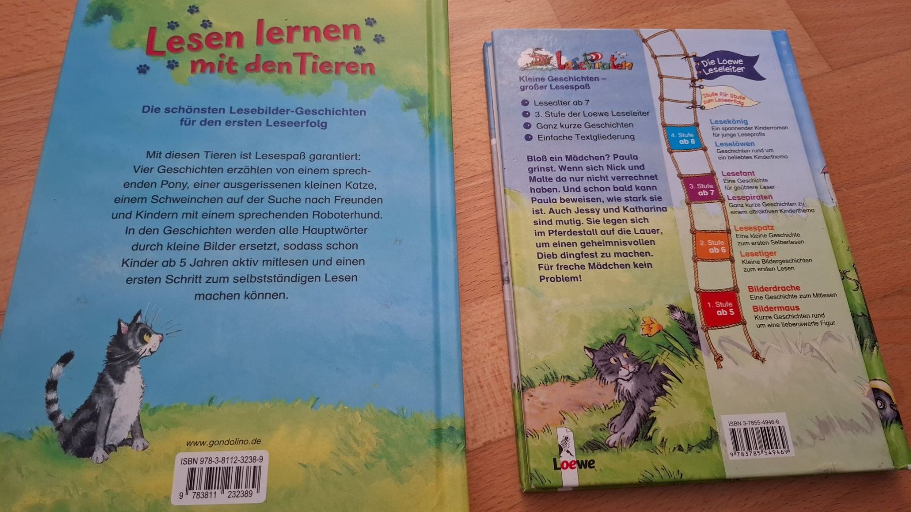 Libri: Kinderlernlesebuch – Usato da bülach venduto da bea_syq2 1