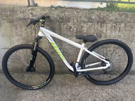 BIXS Mariposa 300 29 Zoll Mountainbike für Frauen Neu