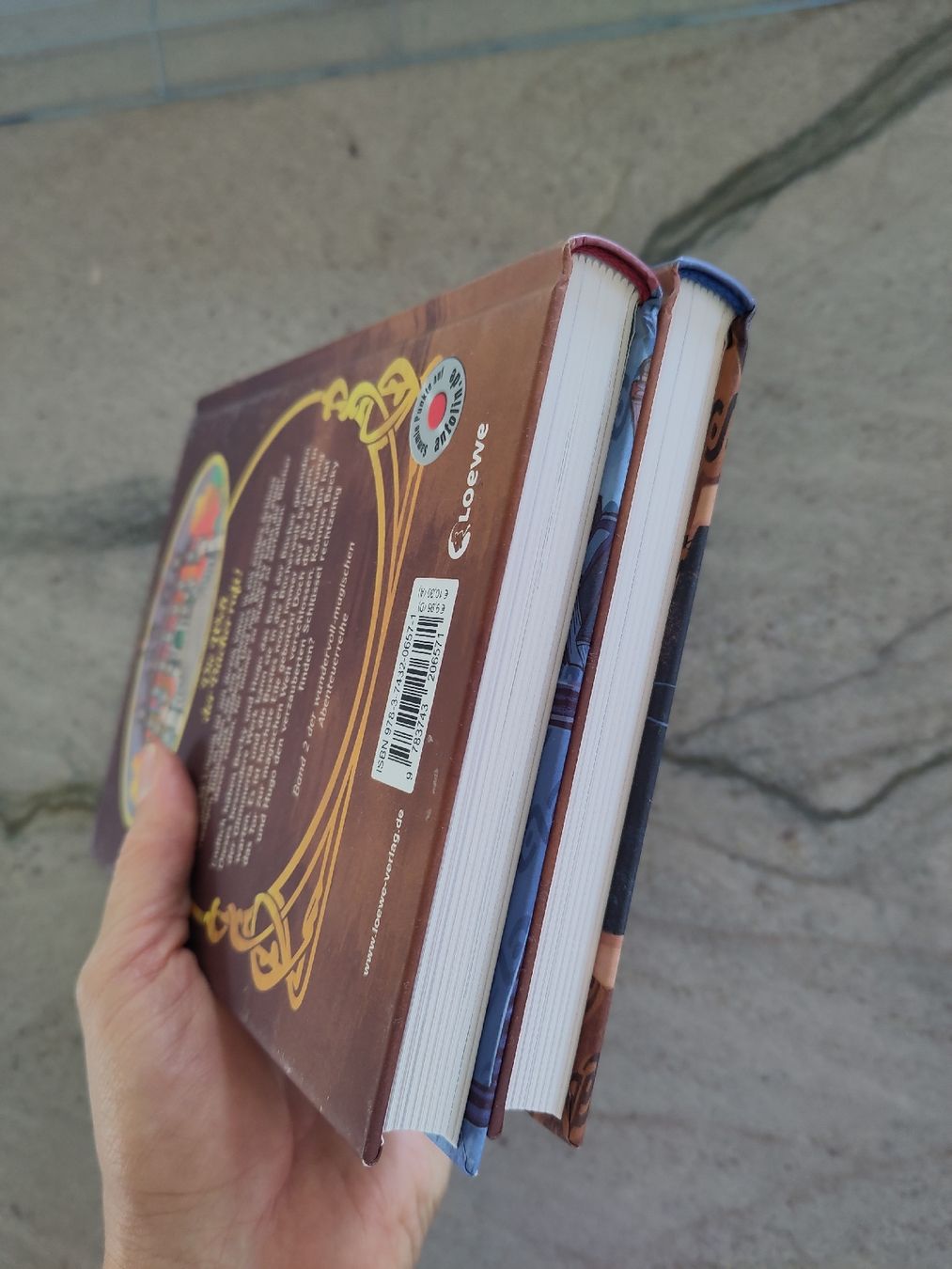 Bücher: Das Bücherdchloss, Band 1 & 2 – Gebraucht aus Dettighofen Lengw. von mai_75wt 3