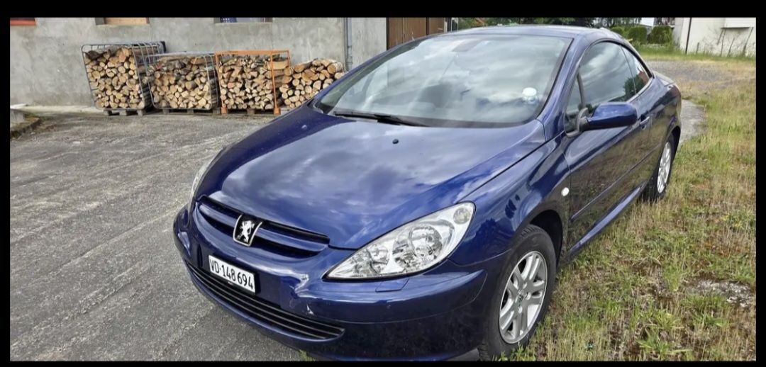 Peugeot Automobili: Peugeot 307 cc – Usato da Cheseaux-Lausanne venduto da mel_28vd 4