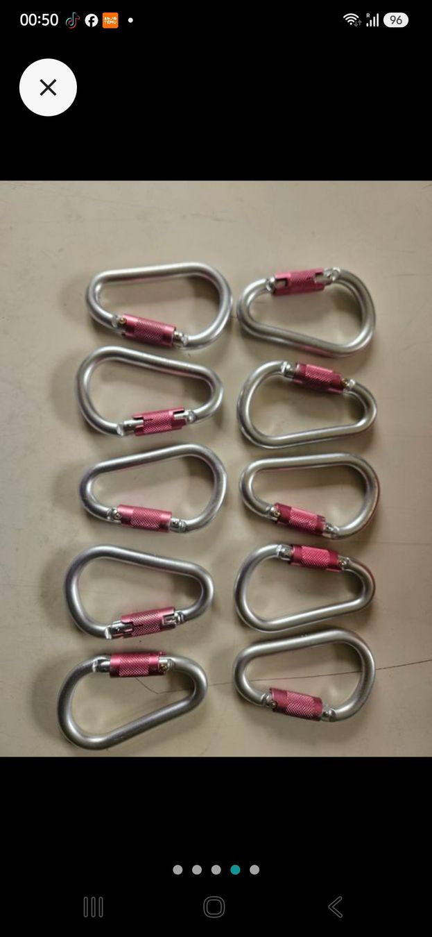 Kletterausrüstungen: 10 Kletterkarabiner, Aluminium, 226550 – Gebraucht aus Oberburg von znas 3