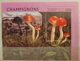 REPUBLIQUE DE GUINÉE – PILZE/CHAMPIGNONS – MINI SHEET