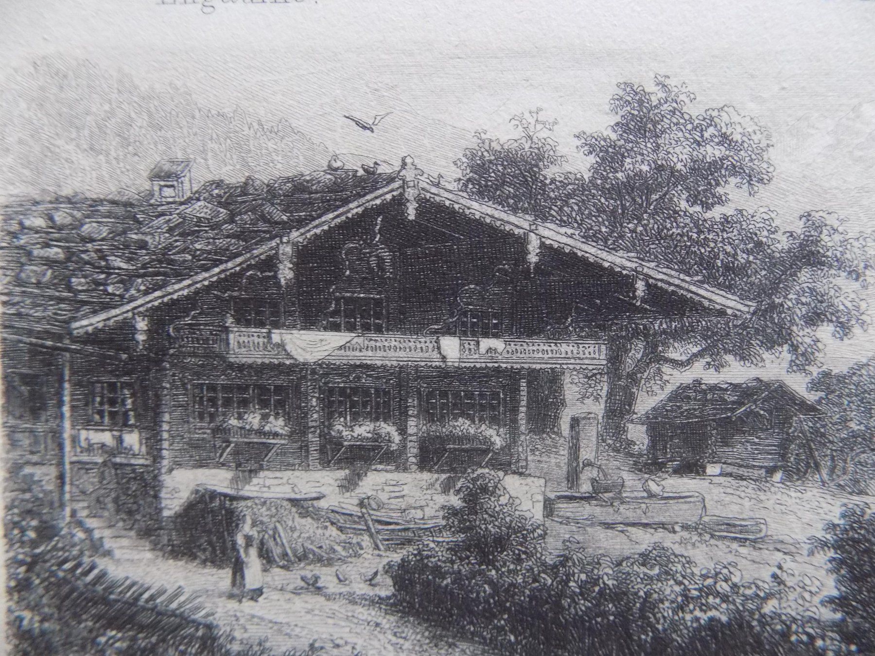 Incisioni: Types des maisons – Usato da Risch venduto da Rischli15 8