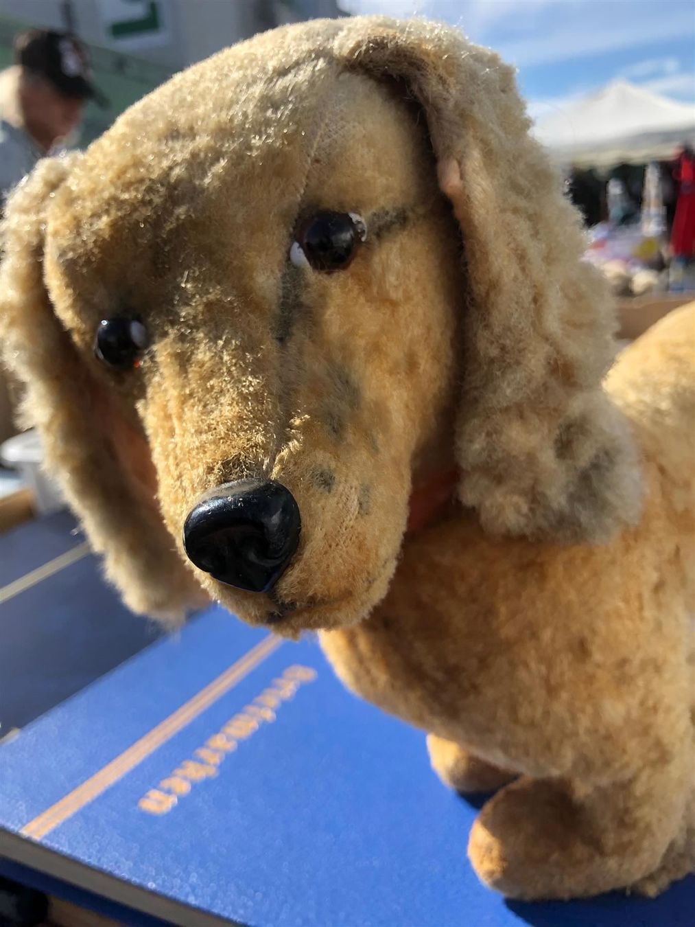 Statuette: Niedliches Hündchen Hundeli Hund – Usato da Bern venduto da Jwpm66 2