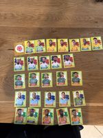 Panini 2026