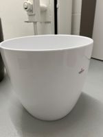 Large Plant Pot l Grosses Blumentopf