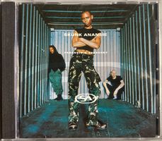 SKUNK ANANSIE - PARANOID & SUNBURNT