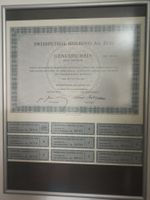 GS Swisspetrol Holding AG Zug 1960 mit Coupon