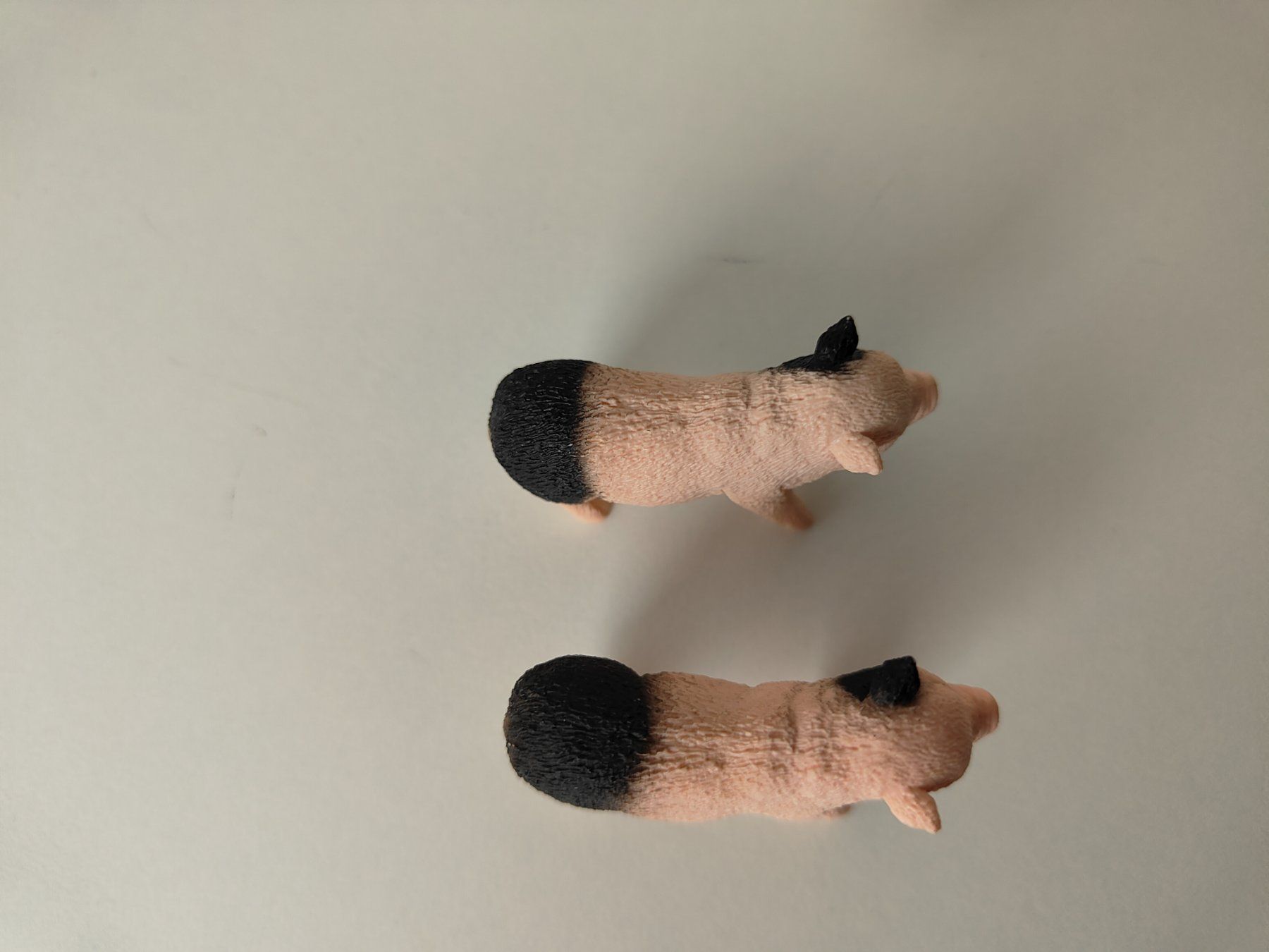 Schleich Statuette: Schleich Schweine Mini Mutter Schwein – Usato da Thalwil venduto da FigurenFreunde 2