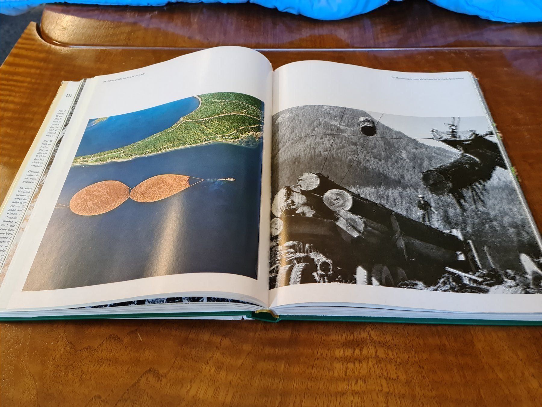 Libri: Die Wälder der Erde – Usato da Erstfeld venduto da Uhu1980 3