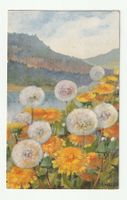 Postkarte von Anna Haller, Pusteblumen vor den Bergen 1919