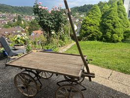 Leiterwagen Leiterwägeli Brückenwagen
