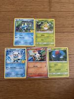Pokémon Karten Set