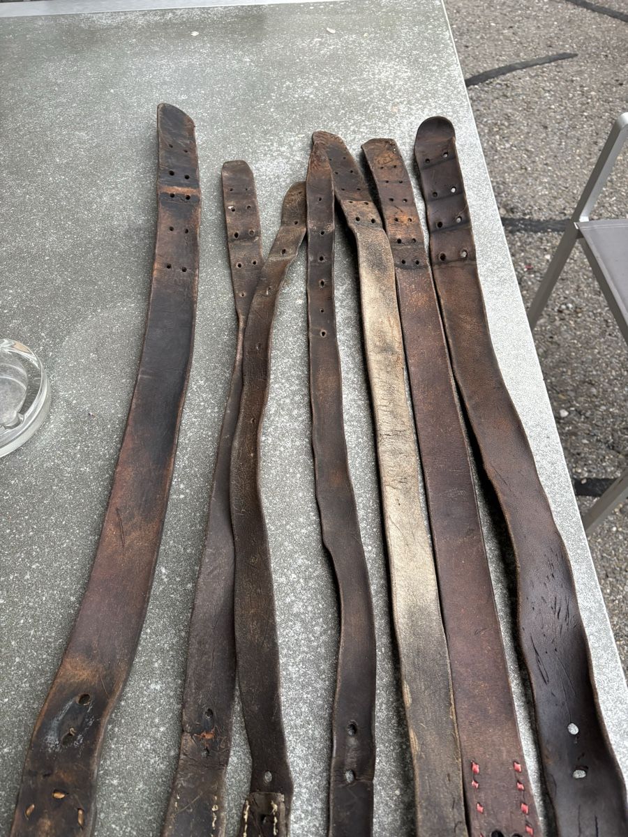 Campanacci mucche: 7 Glocken Riemen – Usato da Schangnau venduto da Roseggli82 2
