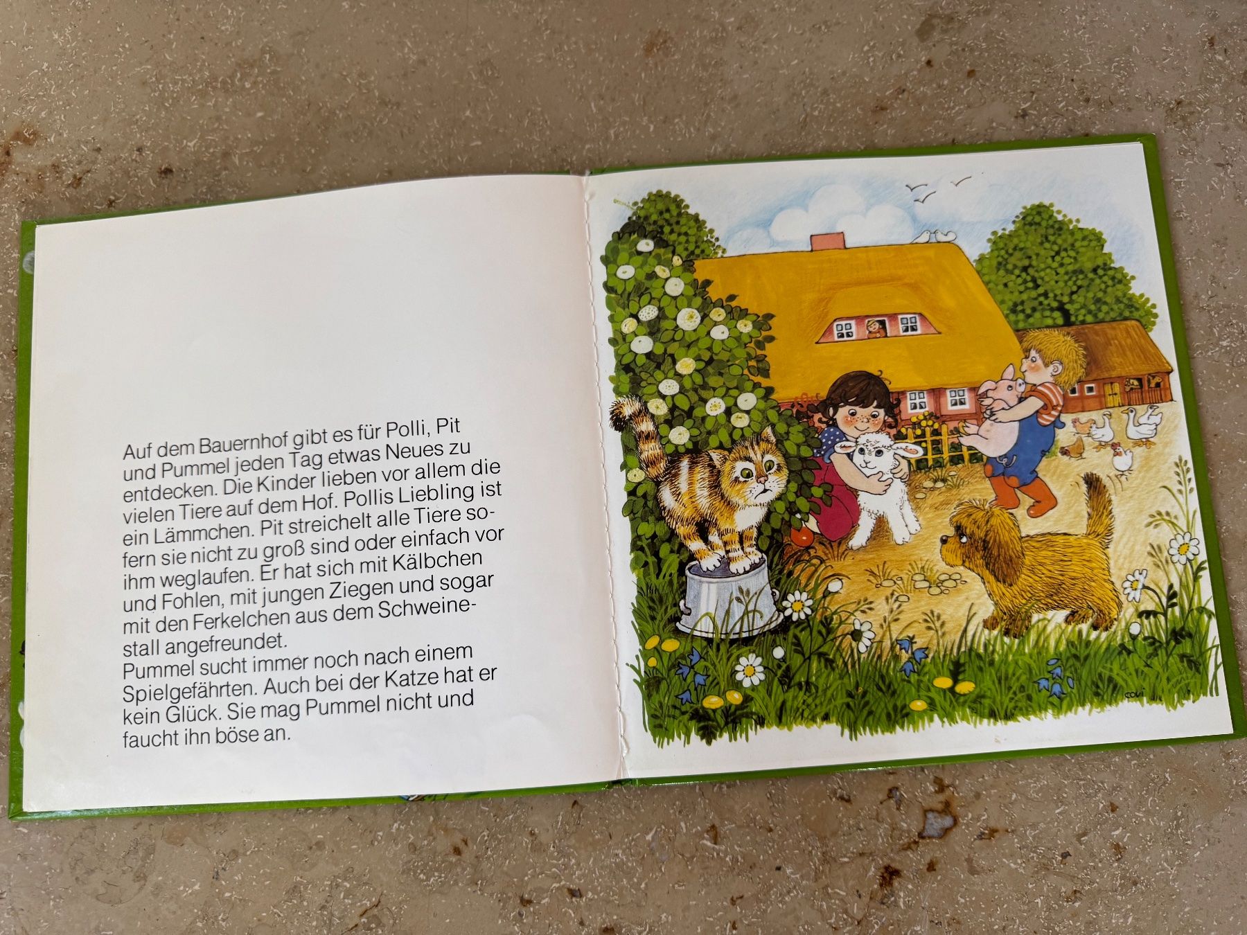 Libri: Mit Polli, Pit und Pummel in die Ferien – Usato da Thun venduto da Fralma84 1