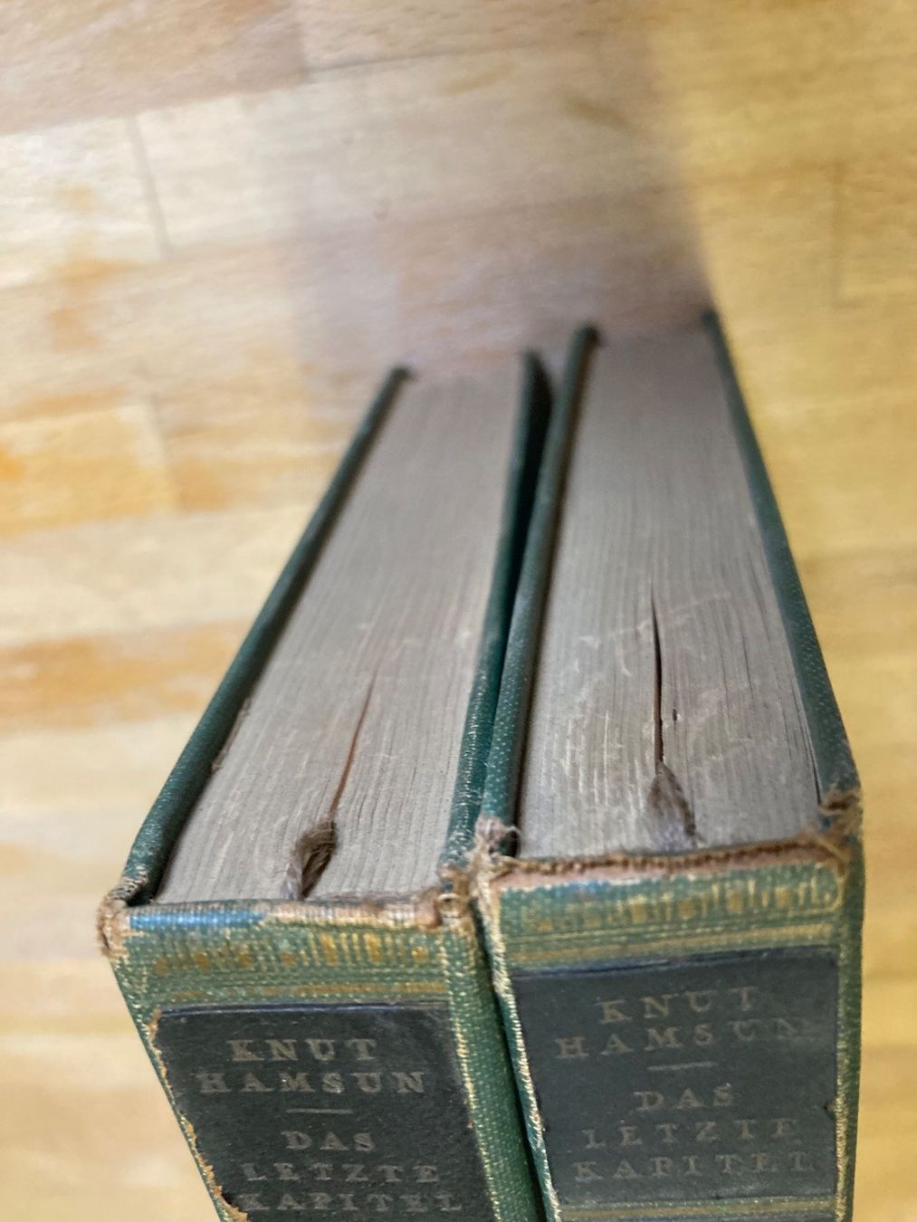 Libri: Knut Hamsun - Das letzte Kapitel, 2 Bd, Verlag Grethlein&Co – Usato da Zürich venduto da wilden 3