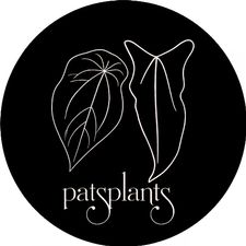 Profile image of PatGomes