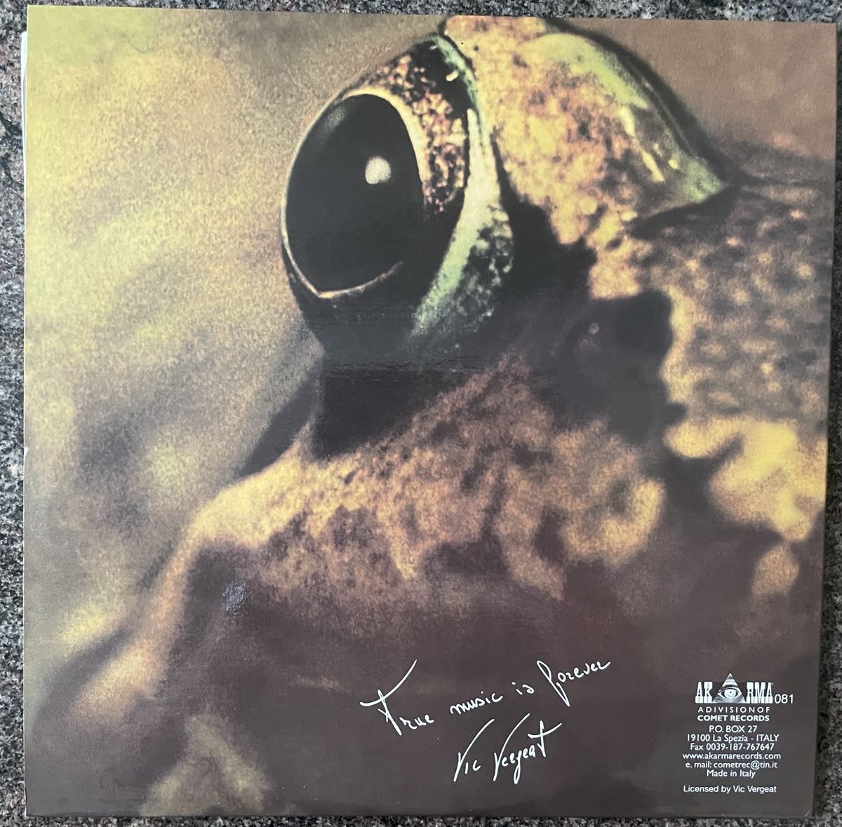 Schallplatten: TOAD - same - AKARMA Vinyl LP – Gebraucht aus Olten von Bluespapst 1
