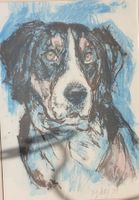 Fritz Hug Lithographie Hund Sennenhund