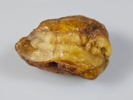 9,7 gr Rohbernstein echt Roh Bernstein baltisch butterscotch