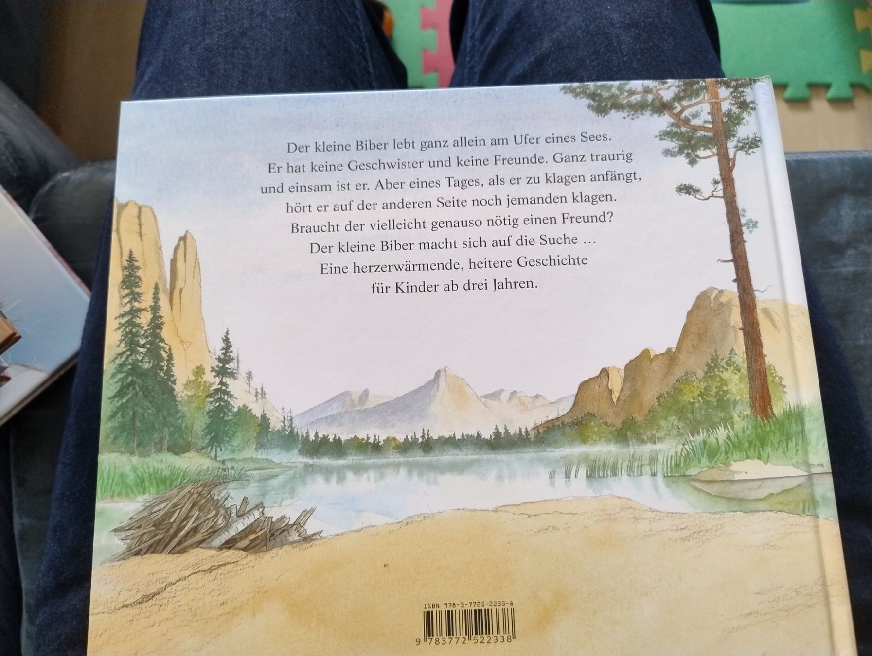 Bücher: Der kleine Biber und das Echo – Gebraucht aus Bätterkinden von livingdreams 1