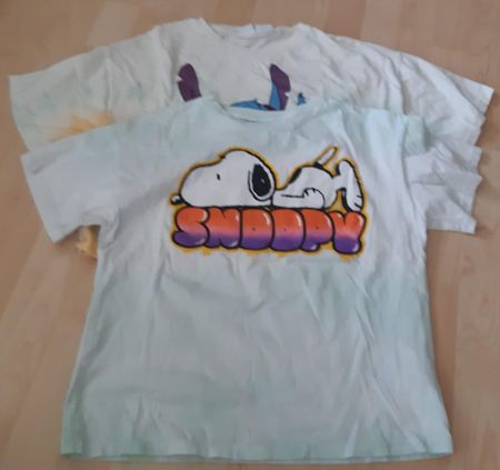 Mädchen T-Shirts, Gr. 164/13-14-Jährige, Marke: ZARA