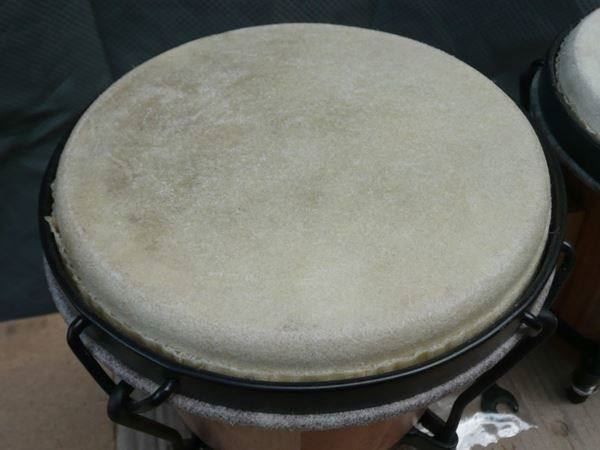 Musikinstrumente: Bongo - Holzkessel - Naturfelle – Neu und originalverpackt aus Davos-Platz von musikhauskollegger 2