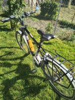 EBike Fleyer 45 kmh ab Service April 26