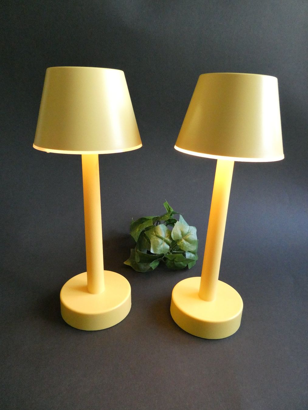 Migros Tutte le decorazioni: 2x LED Tischlampe mit USB-Anschluss – Nuovo (secondo la descrizione) da Zürich venduto da ursinas-shop