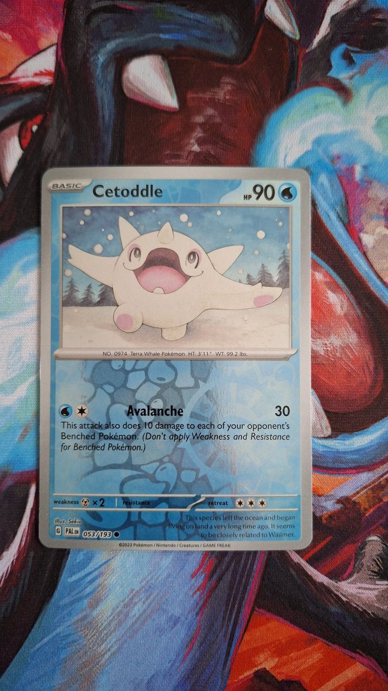 Pokémon Carte collezionabili: Cetoddle - Reverse Holo - Pokemon Paldea Evolved – Usato da Altstätten SG venduto da GGsGameshop