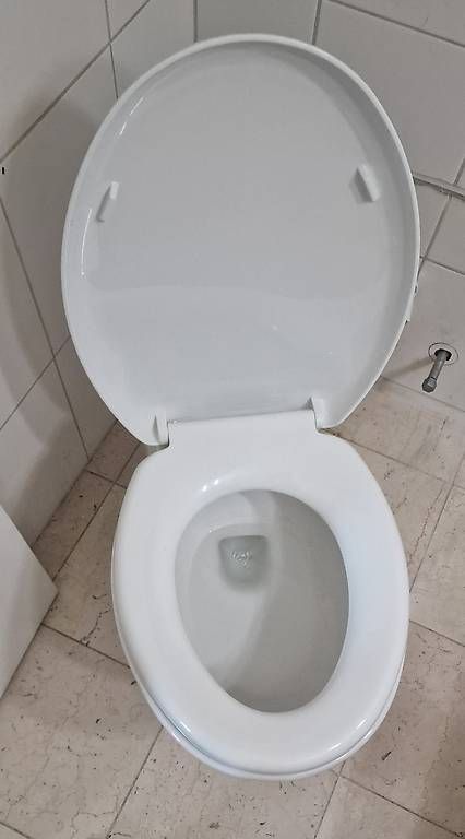 WC: WC Broyeur – Usato da Sion venduto da bigornes