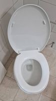 WC Broyeur
