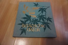 Belautschte Natur, gebundene Ausgabe