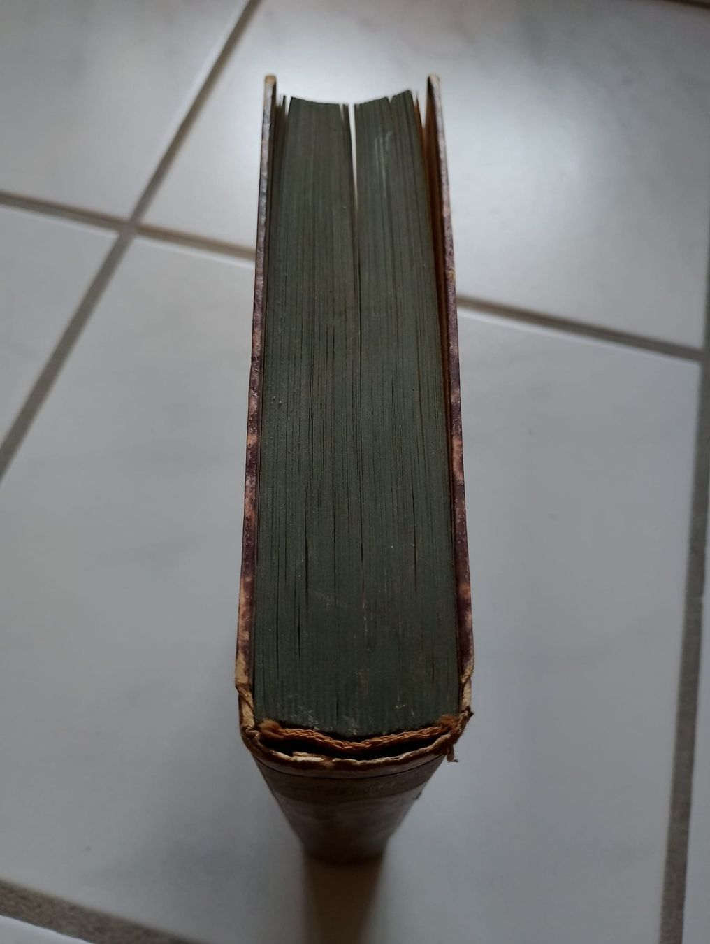 Libri: Schiller - Lebensaufriss – Usato da Ehrendingen venduto da 2Guagua2 1