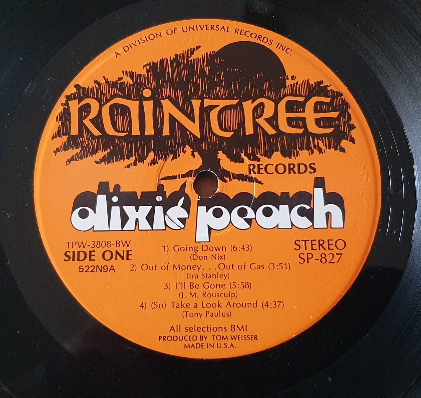 Schallplatten: SOUTHERN ROCK: DIXIE PEACH, Same, USA LP, selten! – Neu (gemäss Beschreibung) aus Kreuzlingen von Cdschlumpf 2