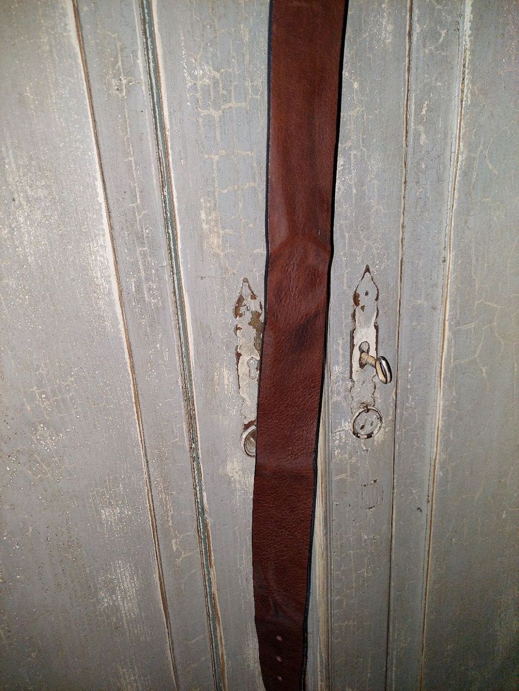 Cinture: Drykorn . Leder braun 80x44 – Nuovo e nell'imballaggio originale da Besenbüren venduto da teluride89 1