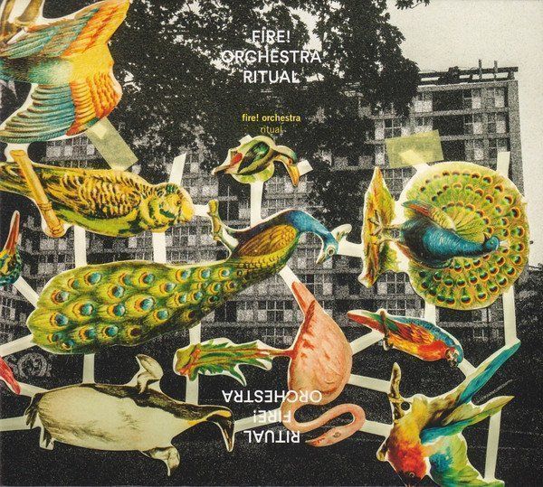 CD: FIRE! ORCHESTRA - Ritual – Usato da Rechthalten venduto da Rocoloco
